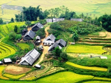 Sapa Terraced Field - Vietnam Tour