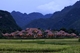 Picture of Mai Chau day trip from Hanoi - private tour