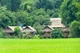 Picture of Mai Chau day trip from Hanoi - private tour