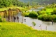 Picture of Hanoi - Mai Chau - Pu Luong National Reserve Tour