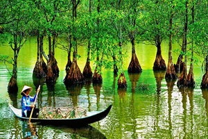 Picture of Can Gio Mangrove Forest 1 day tour – private tour