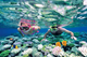 Picture of Phu Quoc Snorkeling full day
