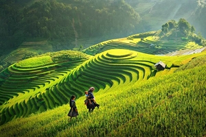 Picture of Discover real Vietnam in 18 Days 17 nights