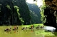 Picture of Hoa Lu - Tam Coc - Cuc Phuong National Park 2 Days 1 Night Tour