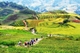 Picture of Sapa 2 days 1 night Bac Ha Market (overnight in hotel) - VTTSP3