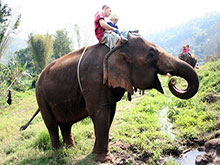 Luang Prabang - Elephant riding